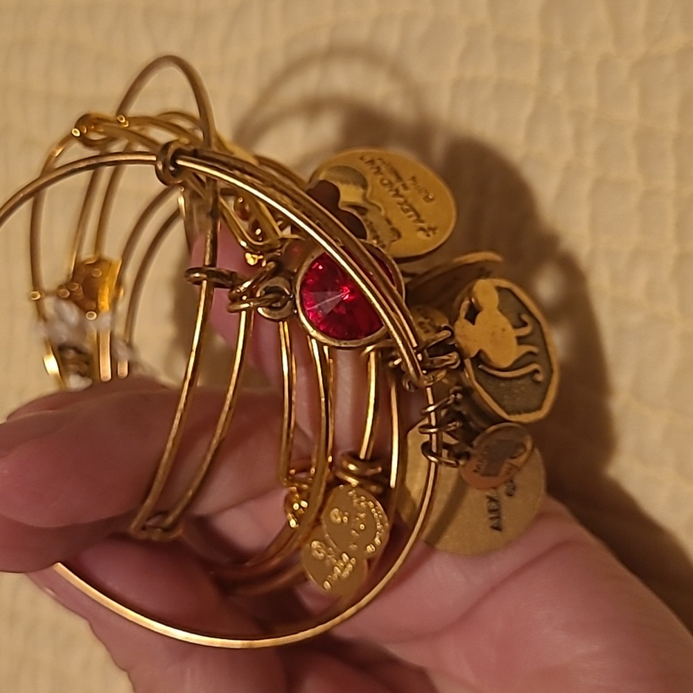 Alex and Ani Gold Charm Bracelet Set with Red Accent, Some Disney. Collector
